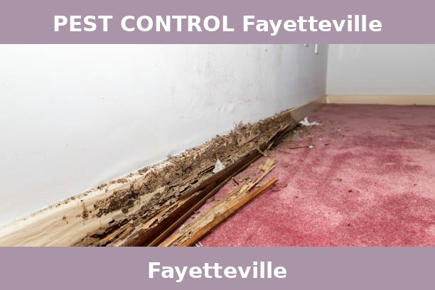 PEST CONTROL Fayetteville
